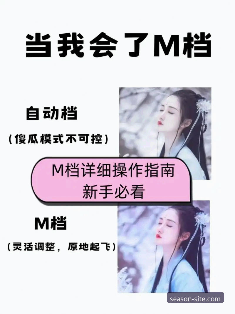 如何快速掌握四季网站官网使用技巧？新手必看操作指南